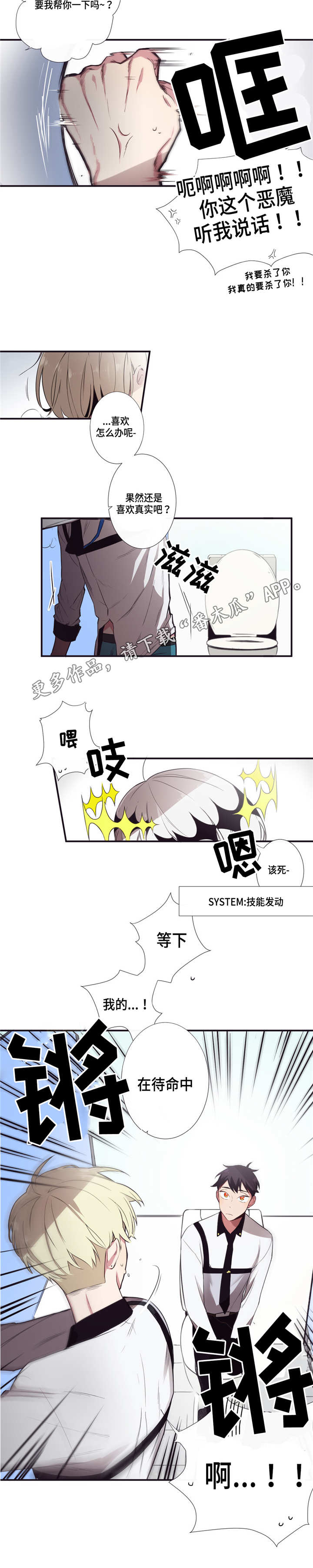 5.jpg
