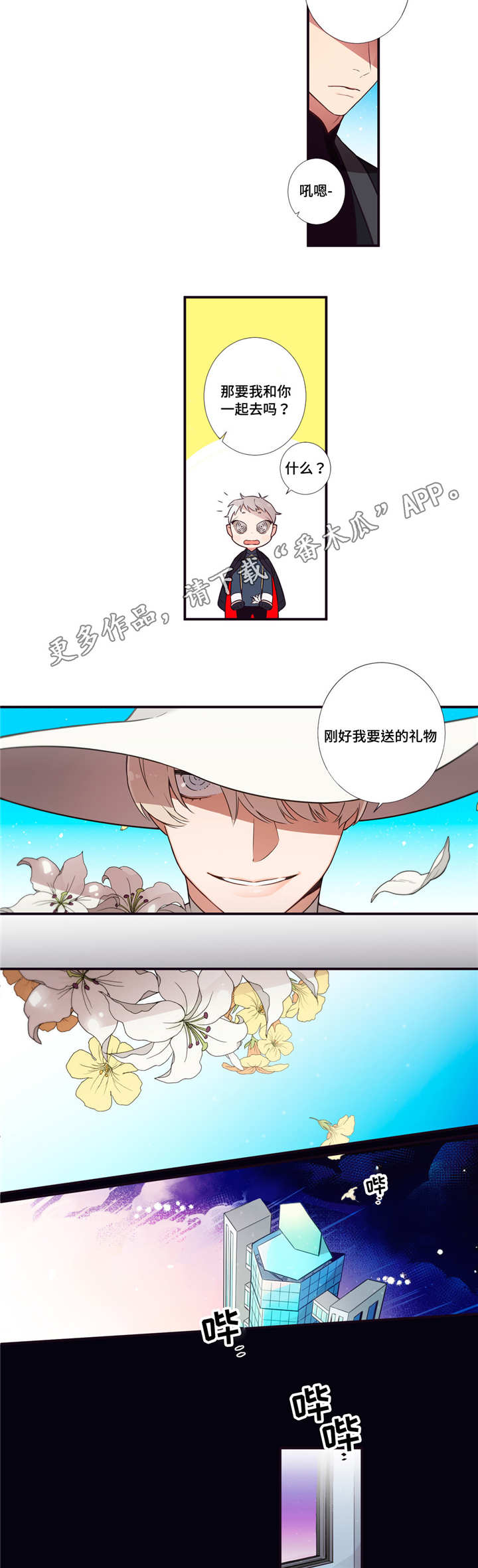 13.jpg