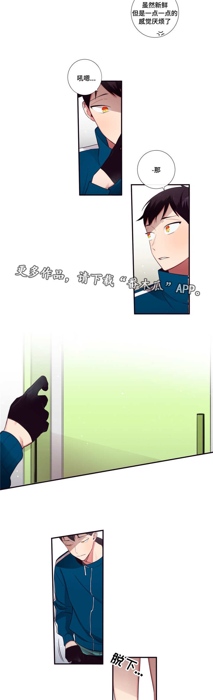 12.jpg