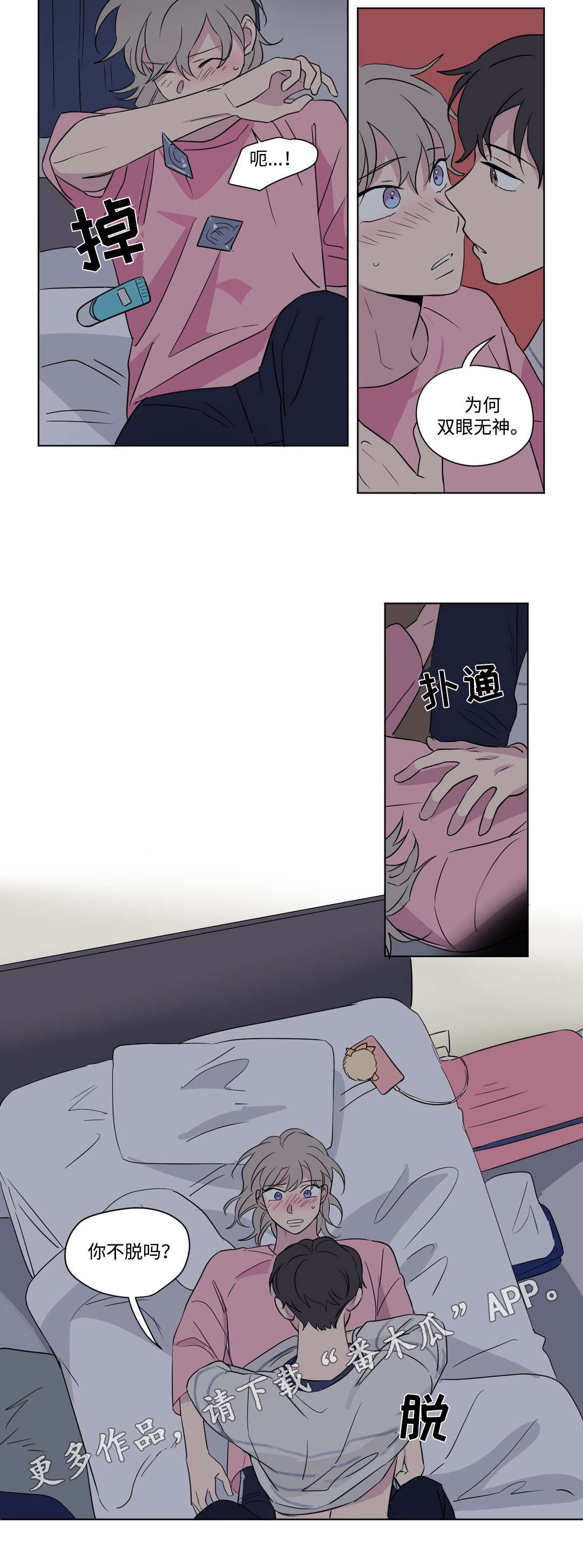 8.jpg