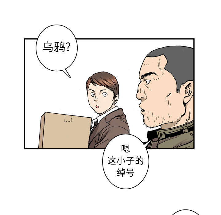 29.jpg