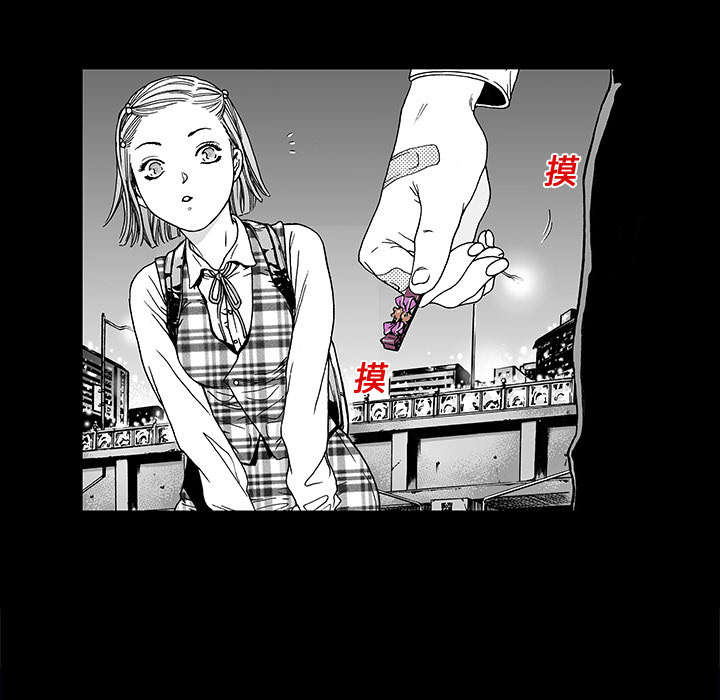 41.jpg