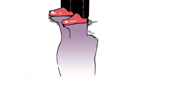 47.jpg