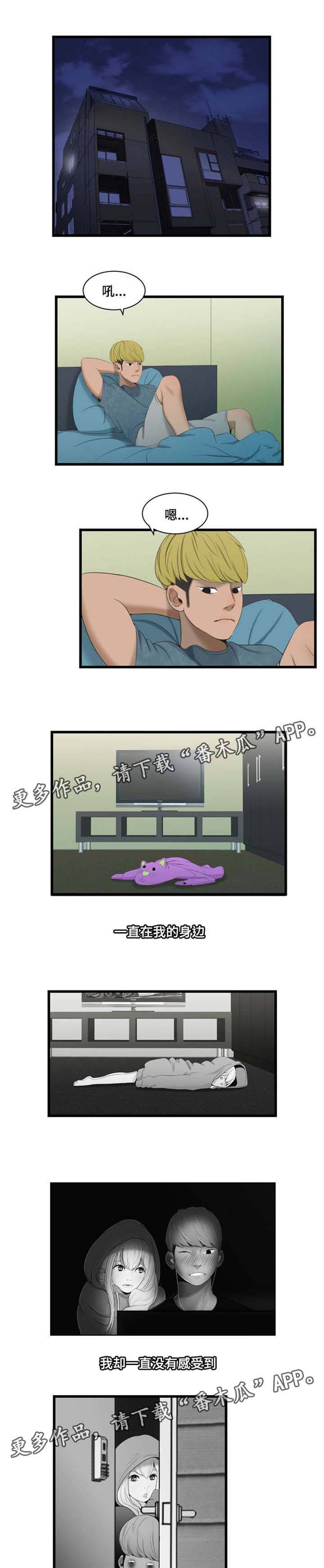 5.jpg