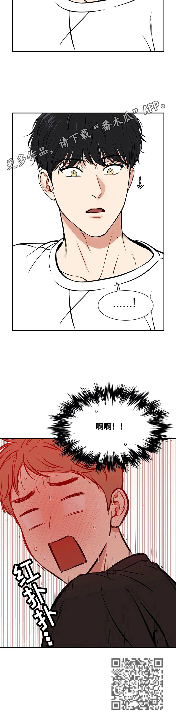 17.jpg