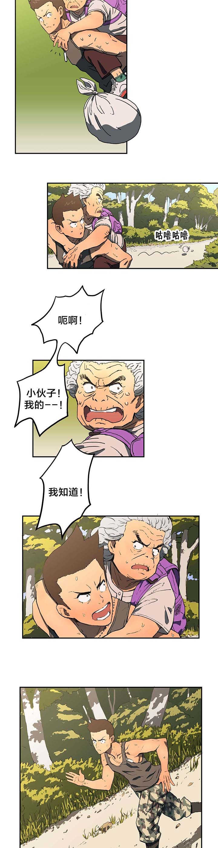 15.jpg