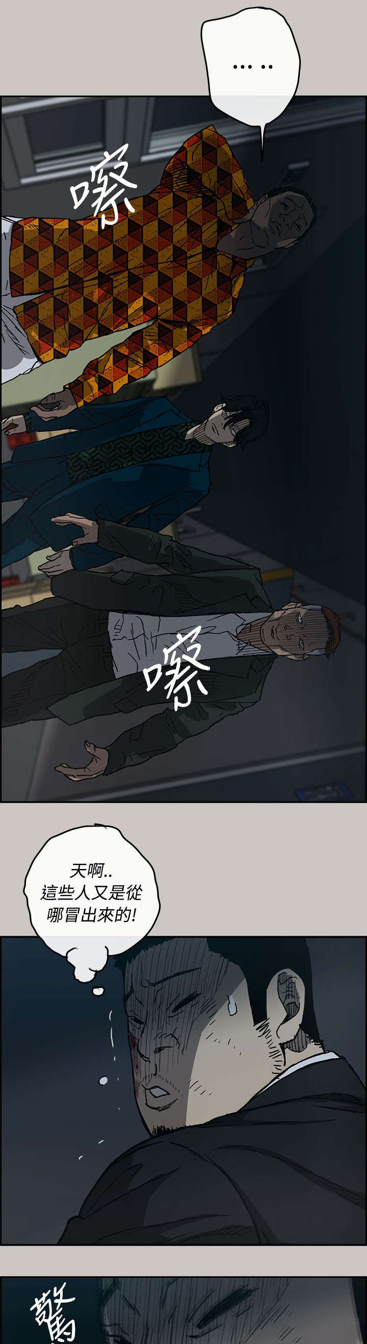 12.jpg