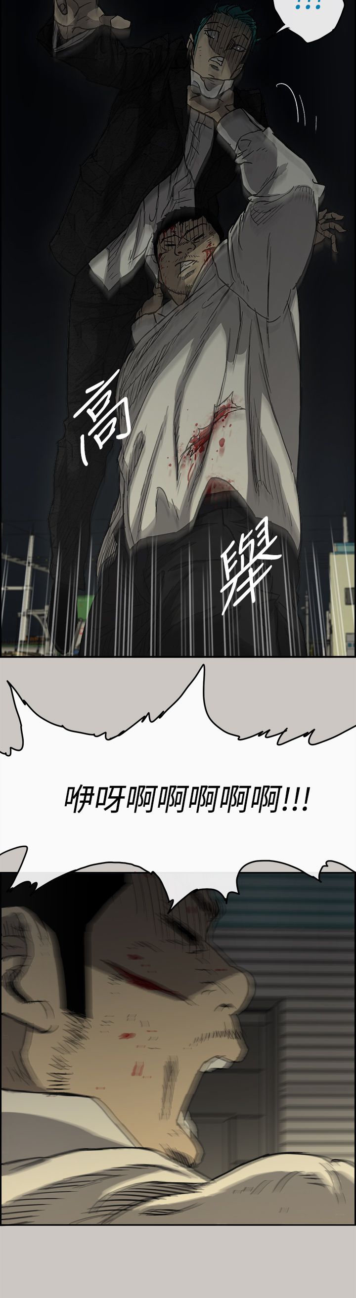 17.jpg
