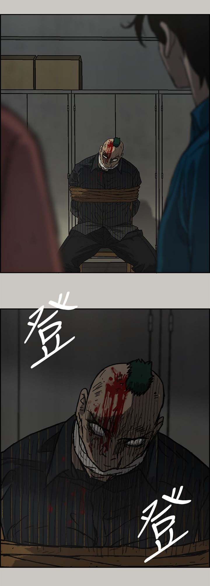 17.jpg