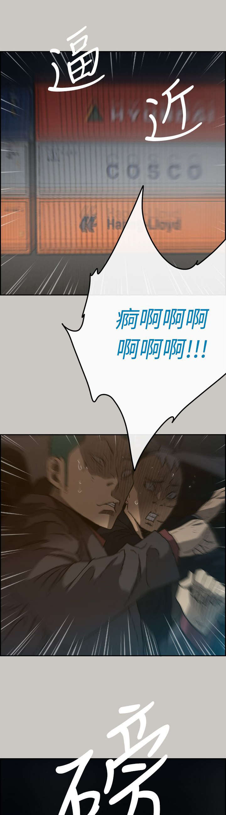 16.jpg