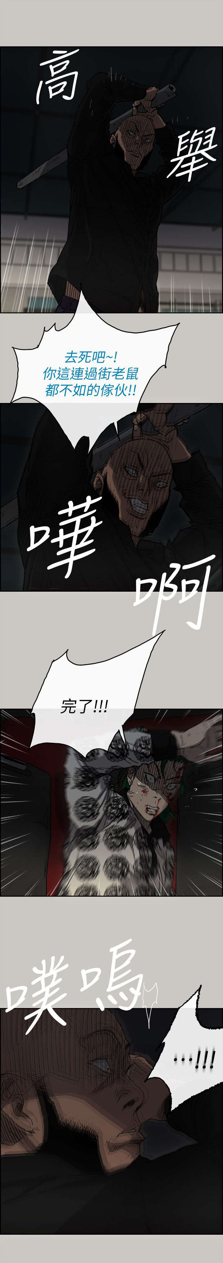 5.jpg