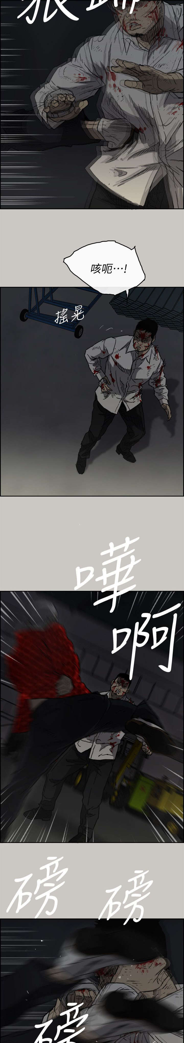 15.jpg