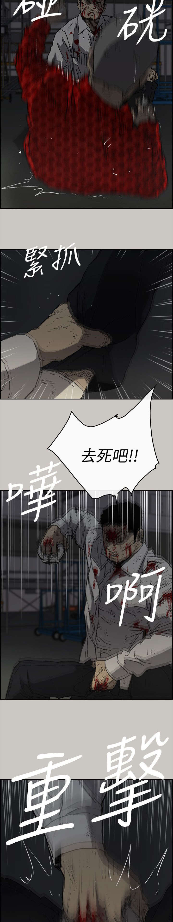 10.jpg