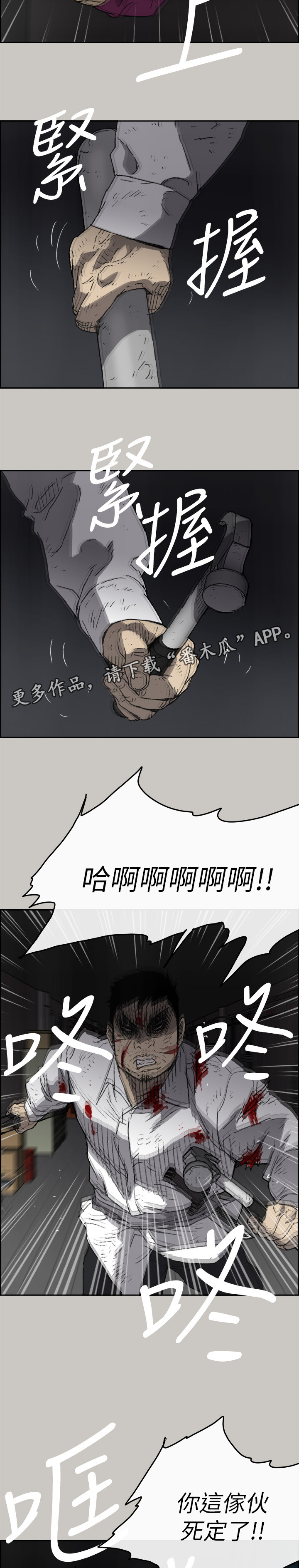13.jpg