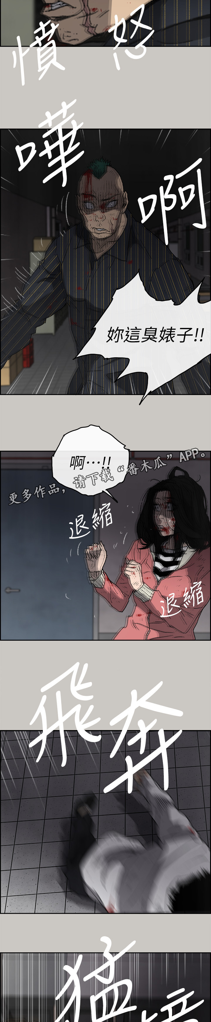 5.jpg