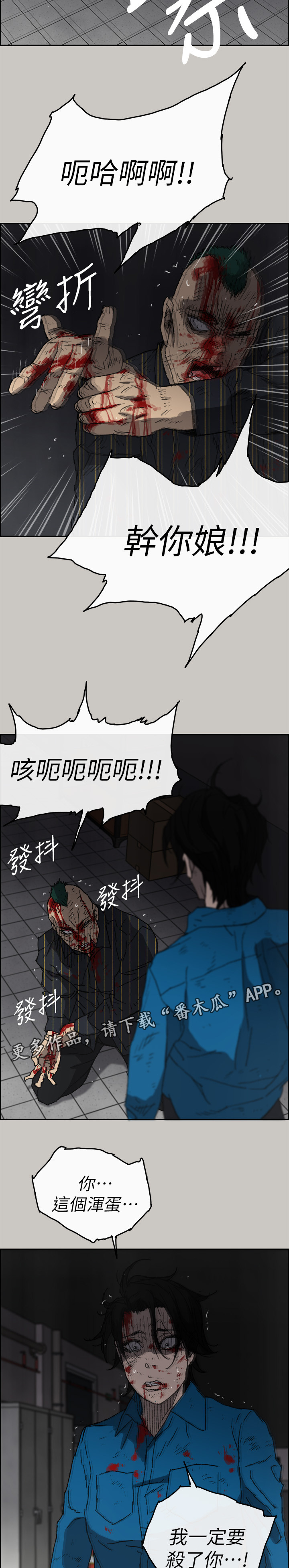 13.jpg