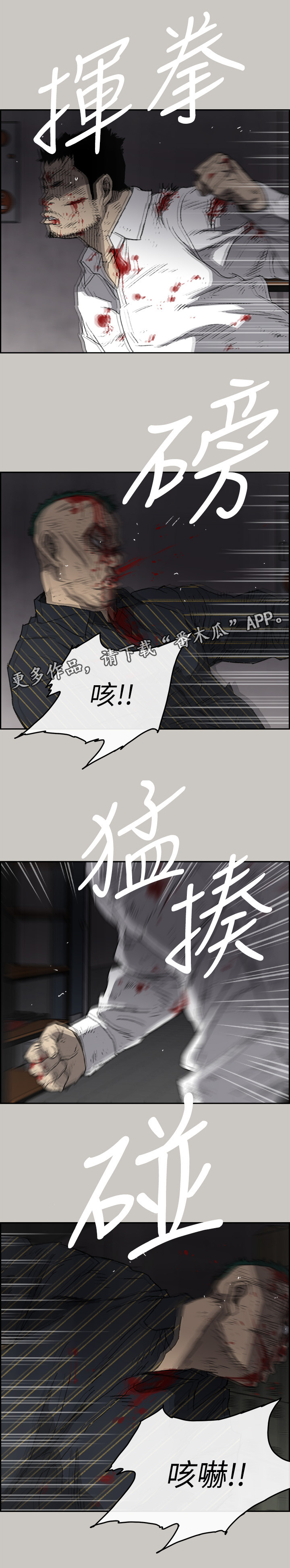 5.jpg