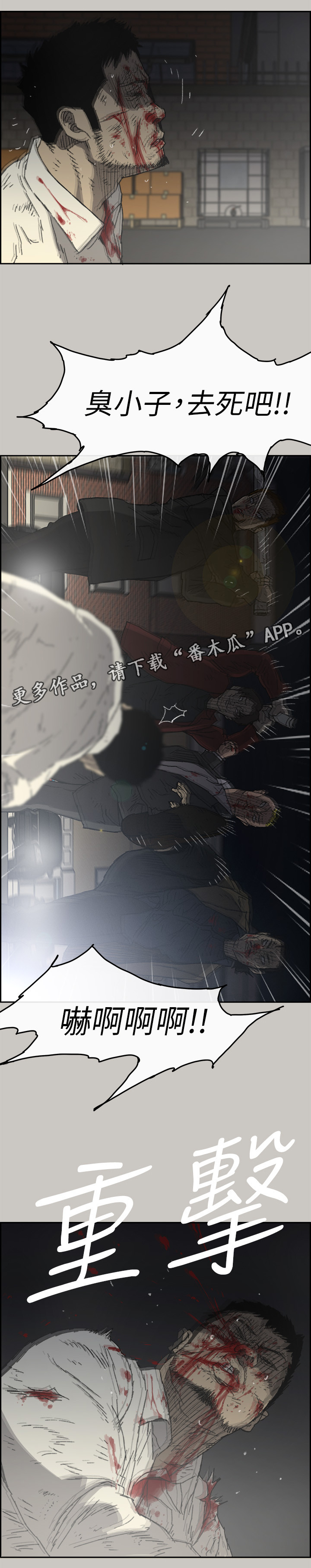 5.jpg