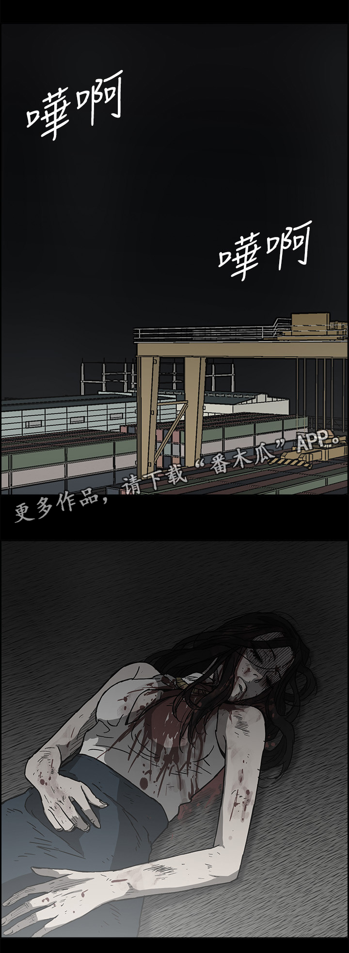 17.jpg