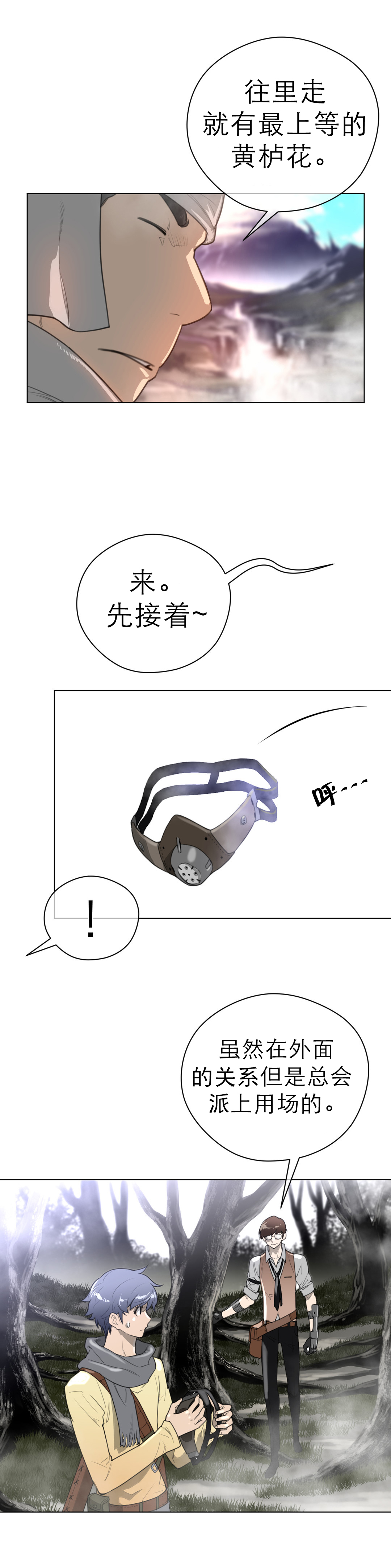 11.jpg