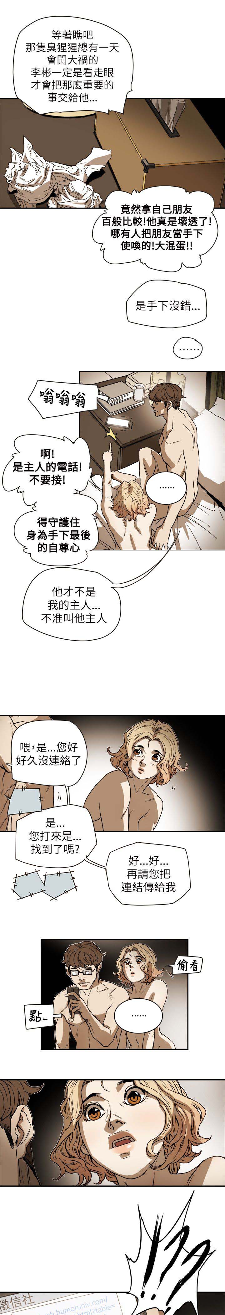 17.jpg