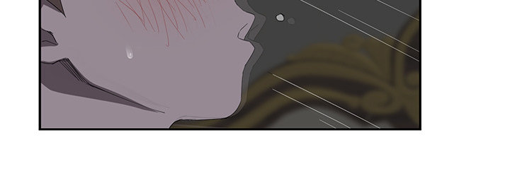50.jpg