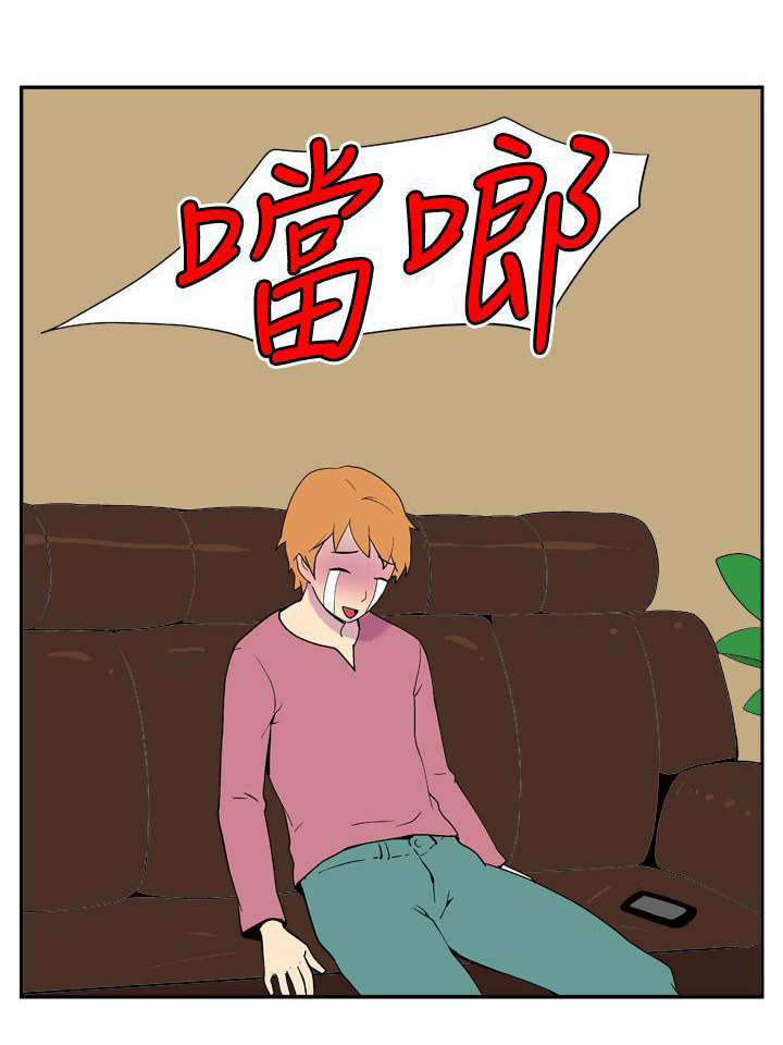 13.jpg