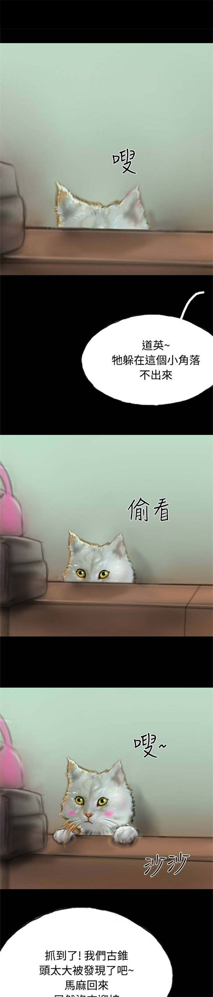 24.jpg