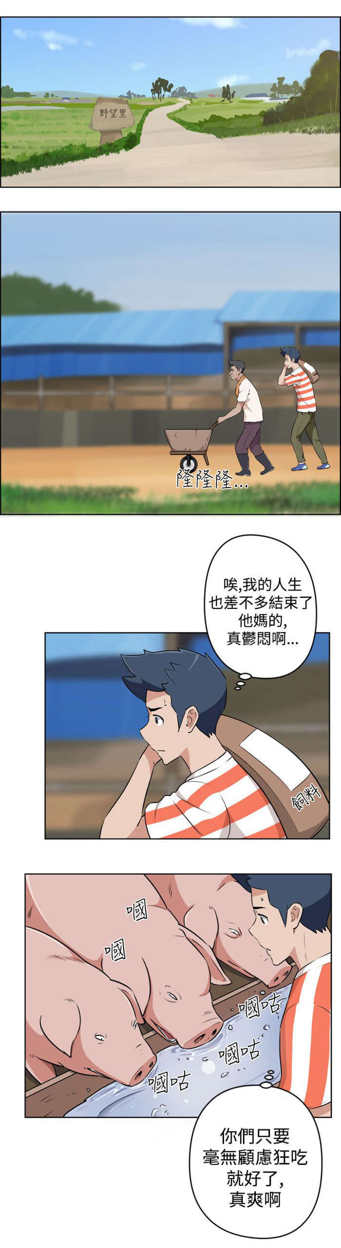 12.jpg