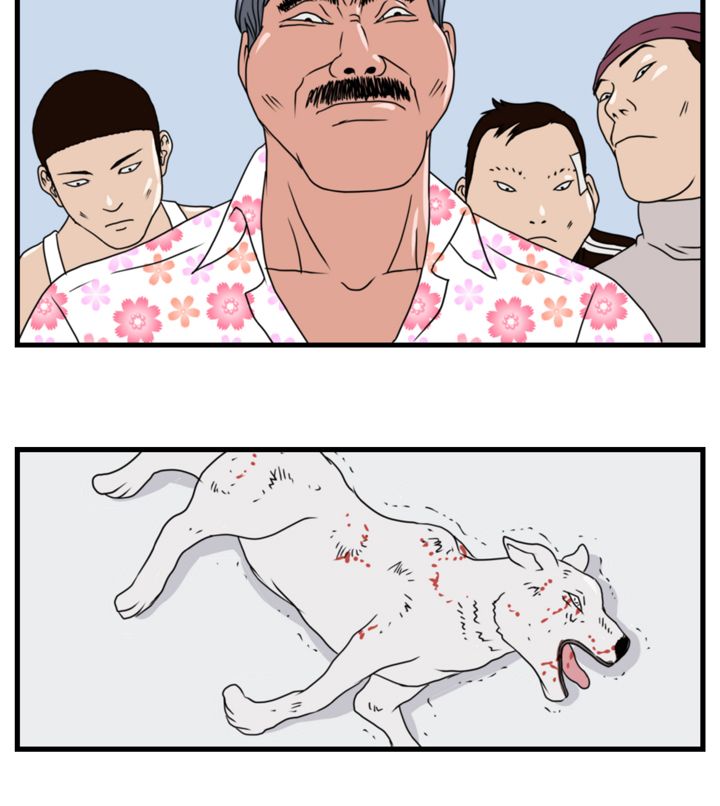 15.jpg