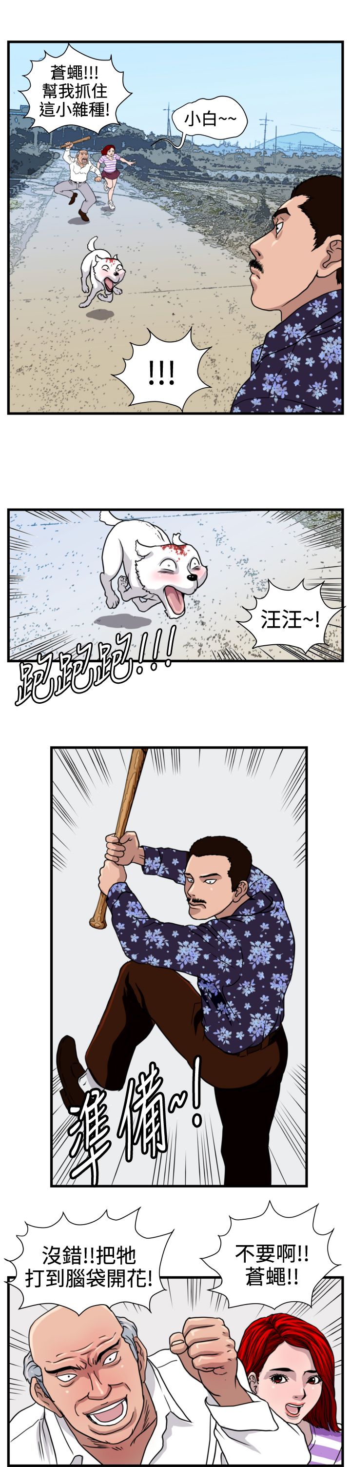 12.jpg