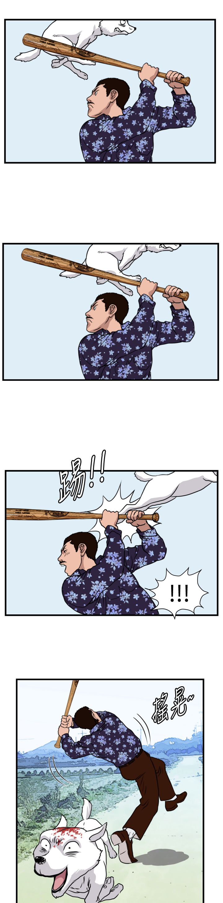 15.jpg