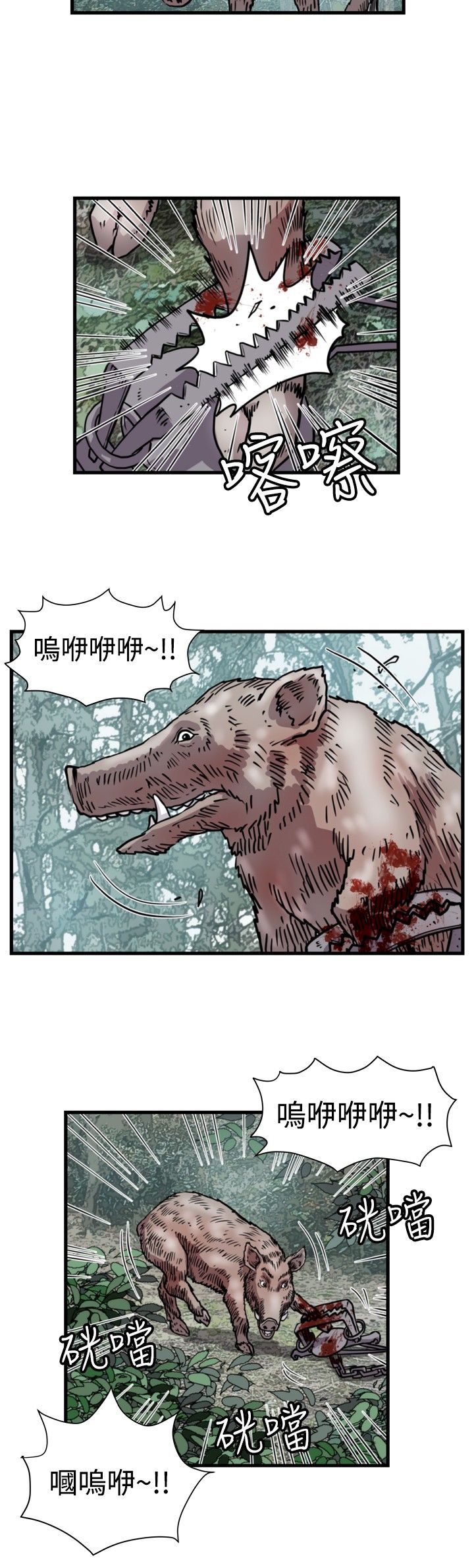 15.jpg
