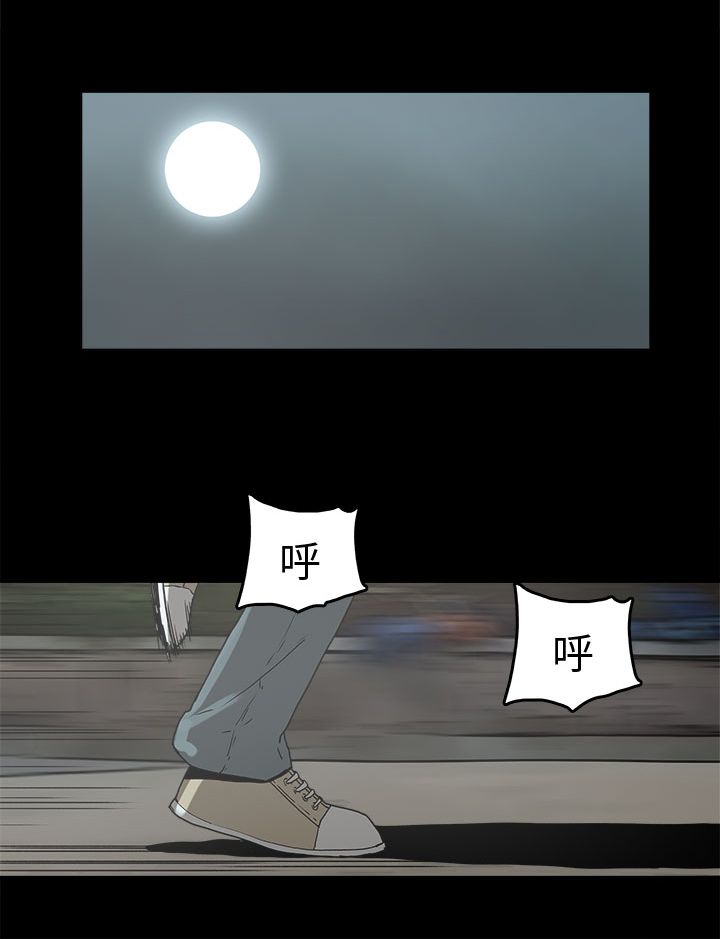 11.jpg