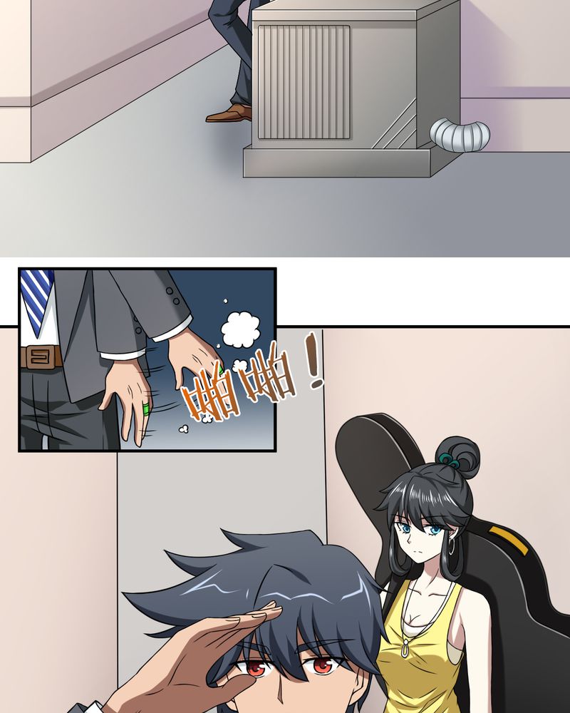 11.jpg