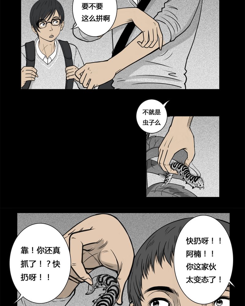 7.jpg