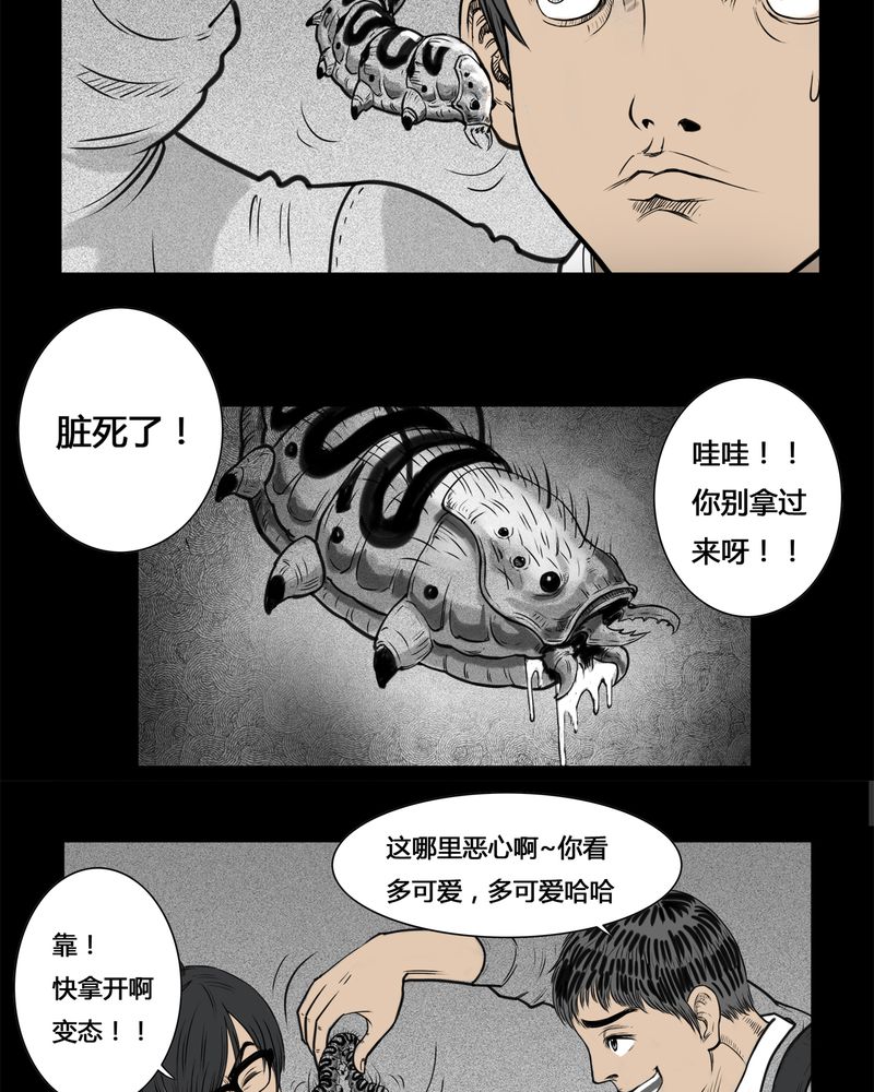 8.jpg