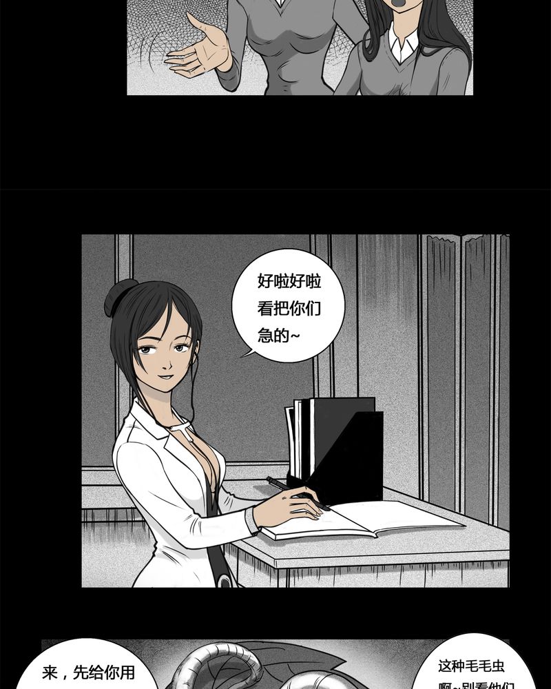 25.jpg