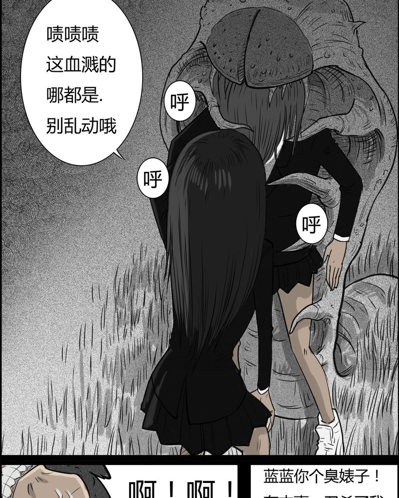 16.jpg