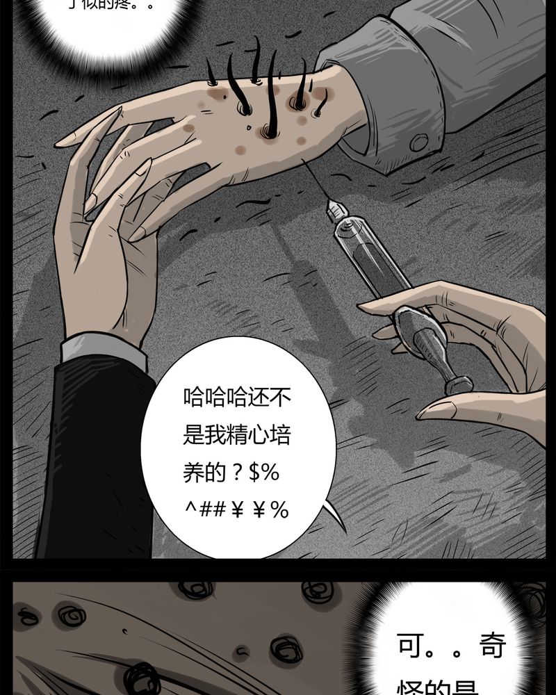13.jpg
