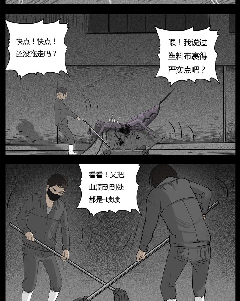 20.jpg