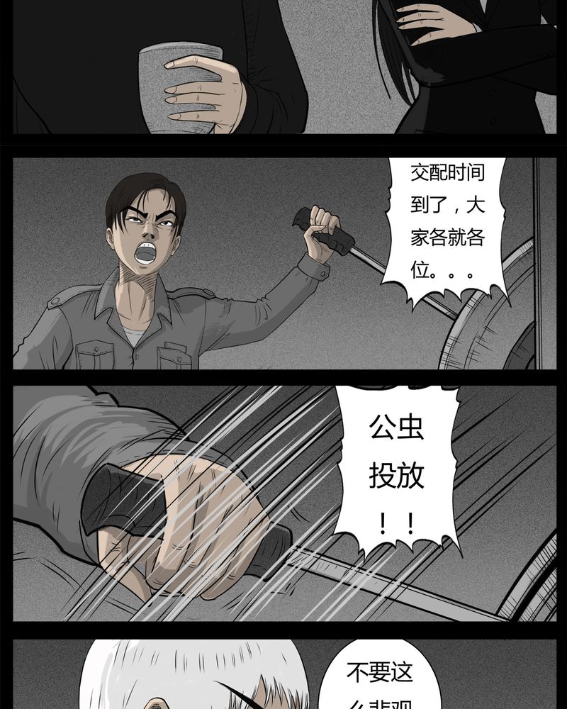 25.jpg