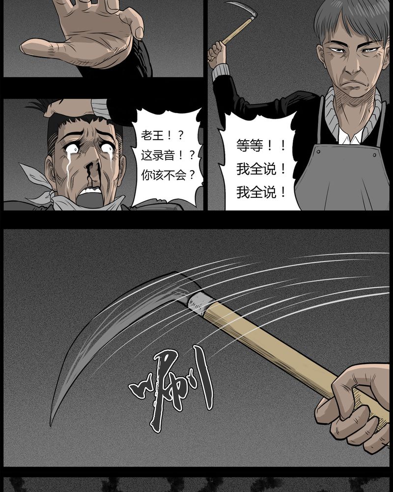 17.jpg
