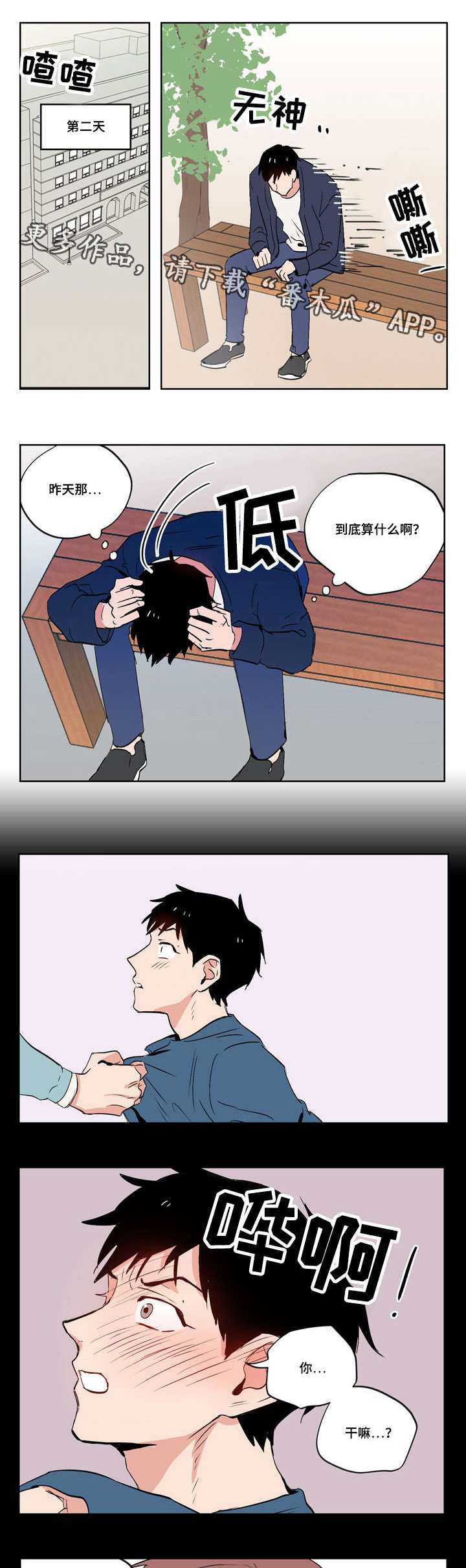 11.jpg