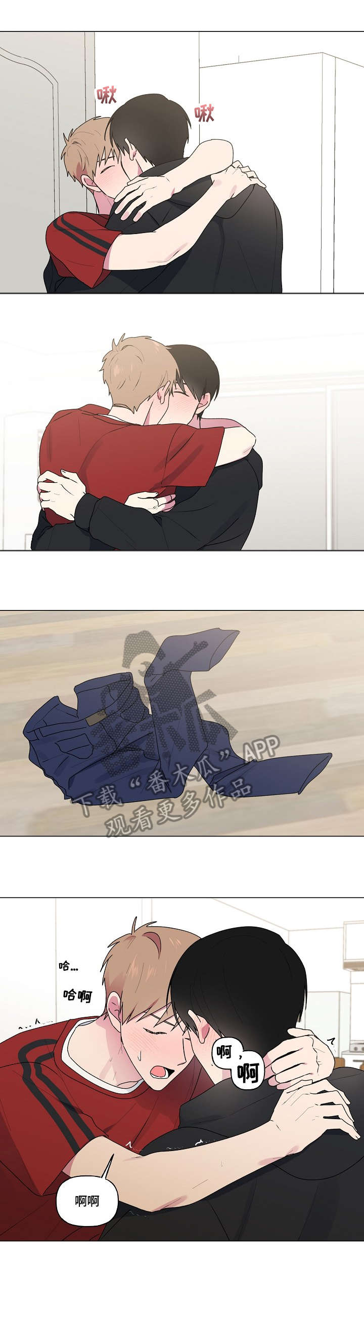 5.jpg