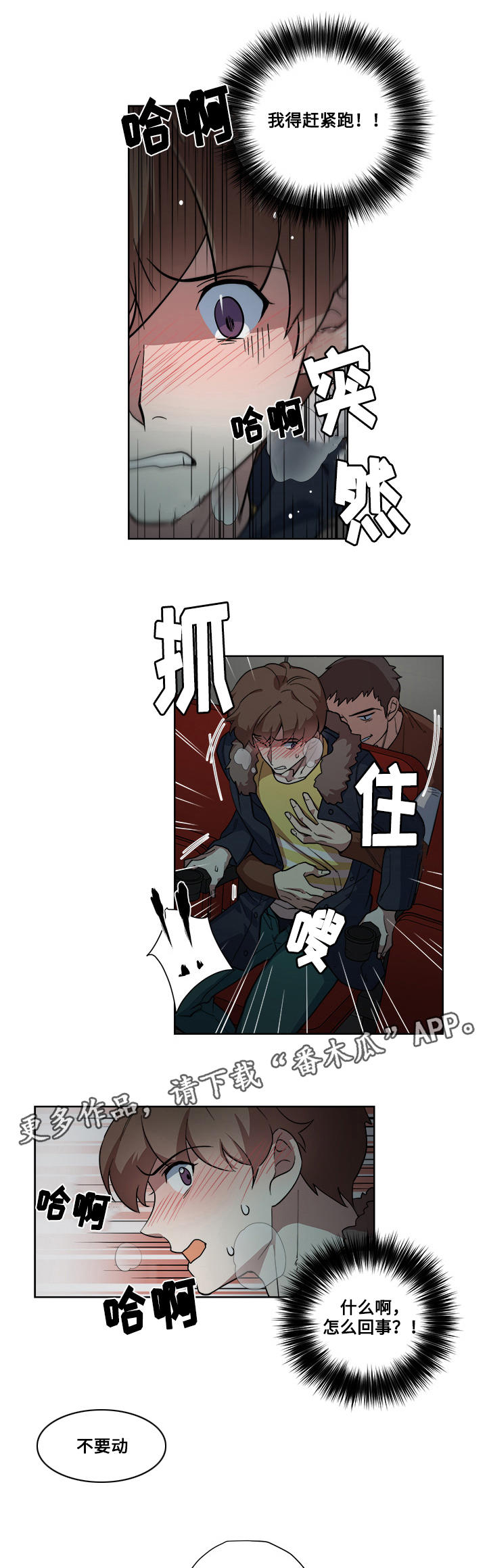 12.jpg