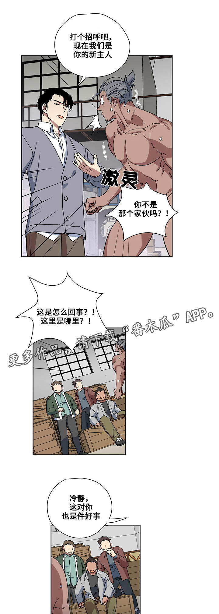 15.jpg