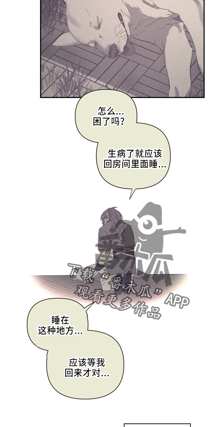 23.jpg