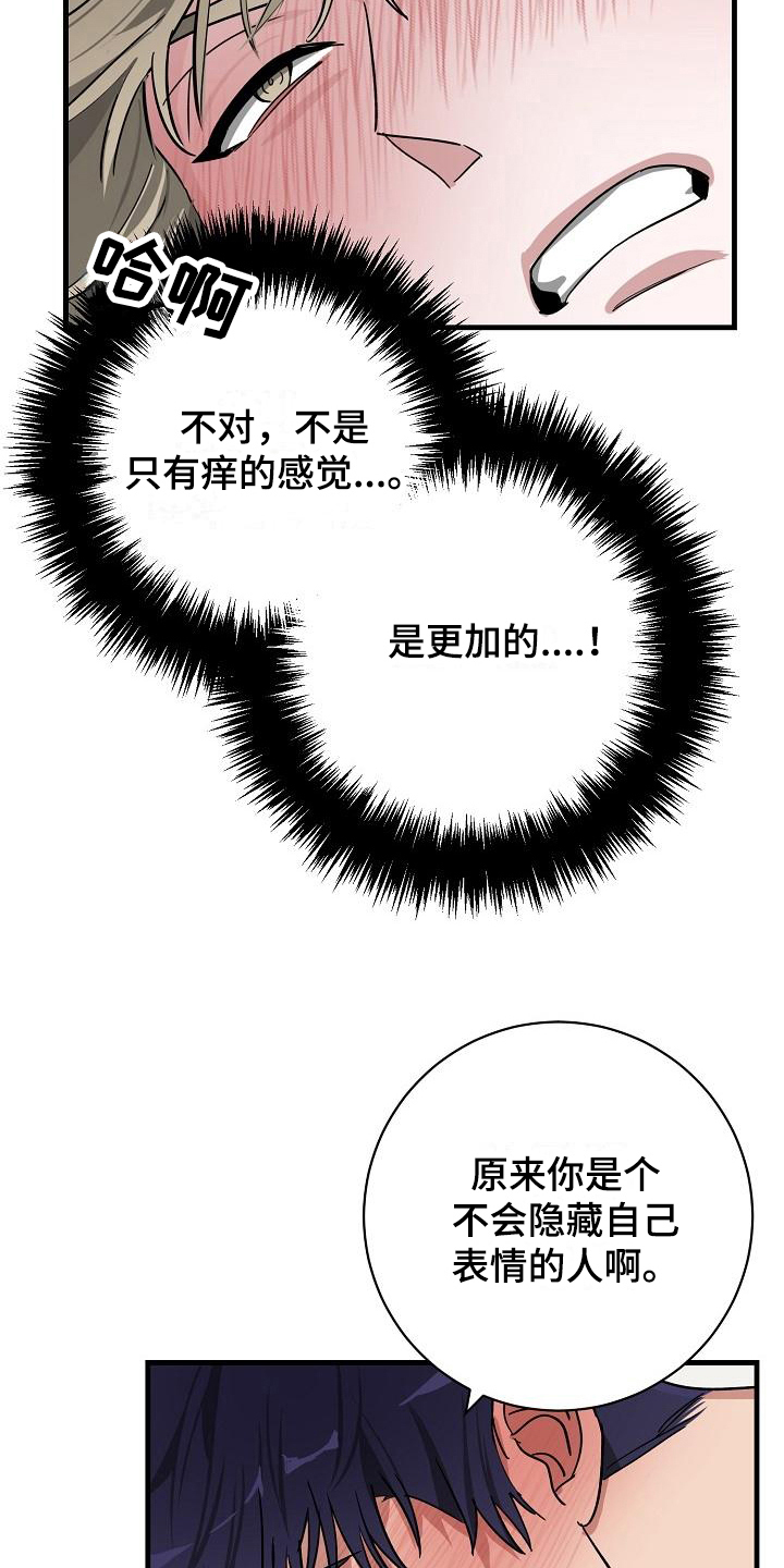 14.jpg