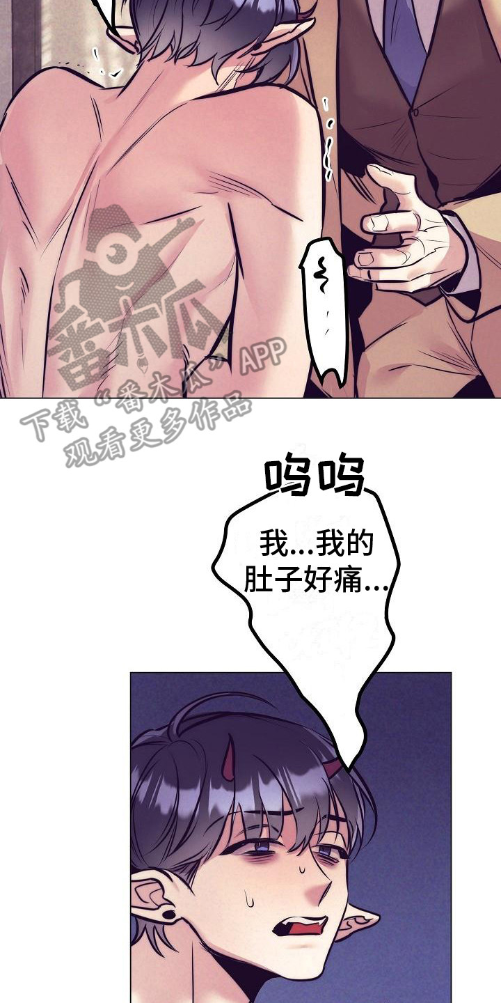 23.jpg